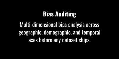 bias auditing button